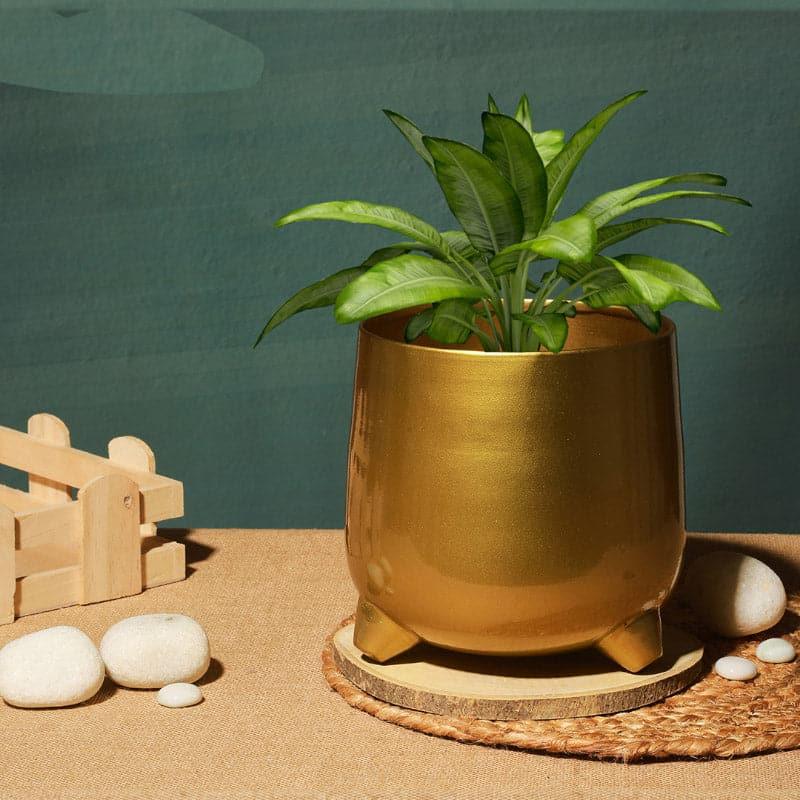 Buy Urma Metal Planter Pots & Planters from Vaaree