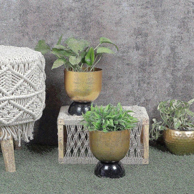 Buy Vivaan Vena Planter - Set Of Two Pots & Planters from Vaaree