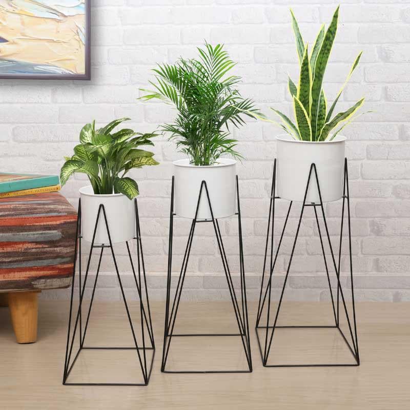 Buy Whimsical Wonder Planter - Set Of Three Pots & Planters from Vaaree