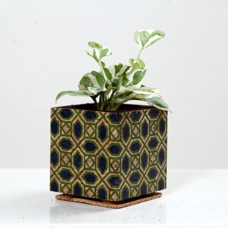 Buy Whimsical Woodland Planter Pots & Planters from Vaaree