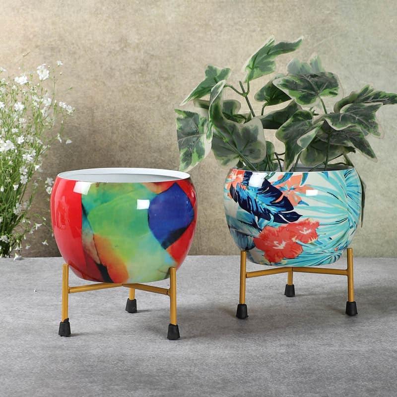 Buy Wilma Glow Planter - Set Of Two Pots & Planters from Vaaree