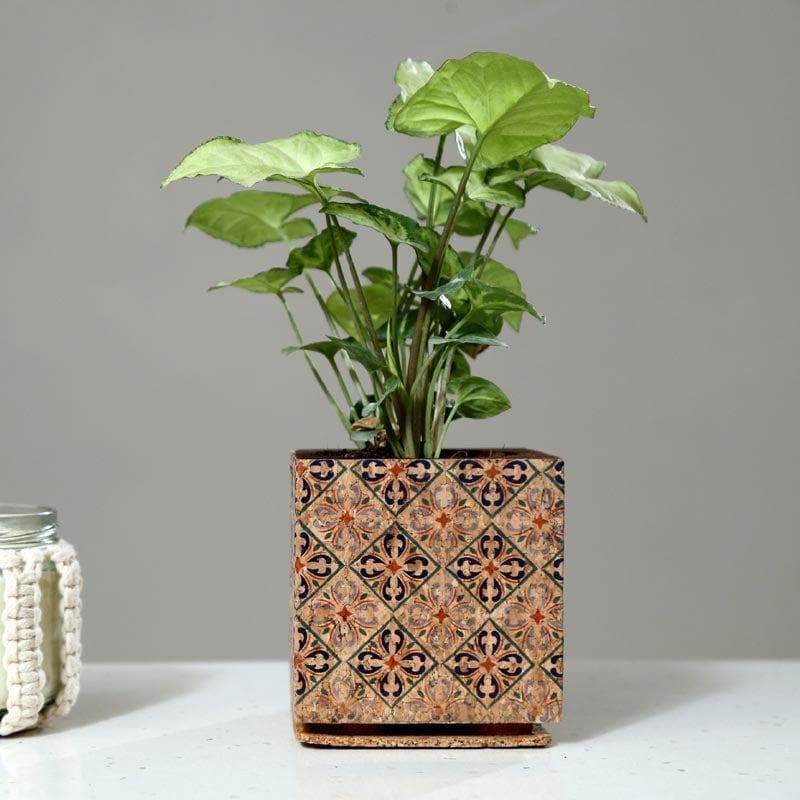 Buy Wooden Cork Dreamy Planter Pots & Planters from Vaaree