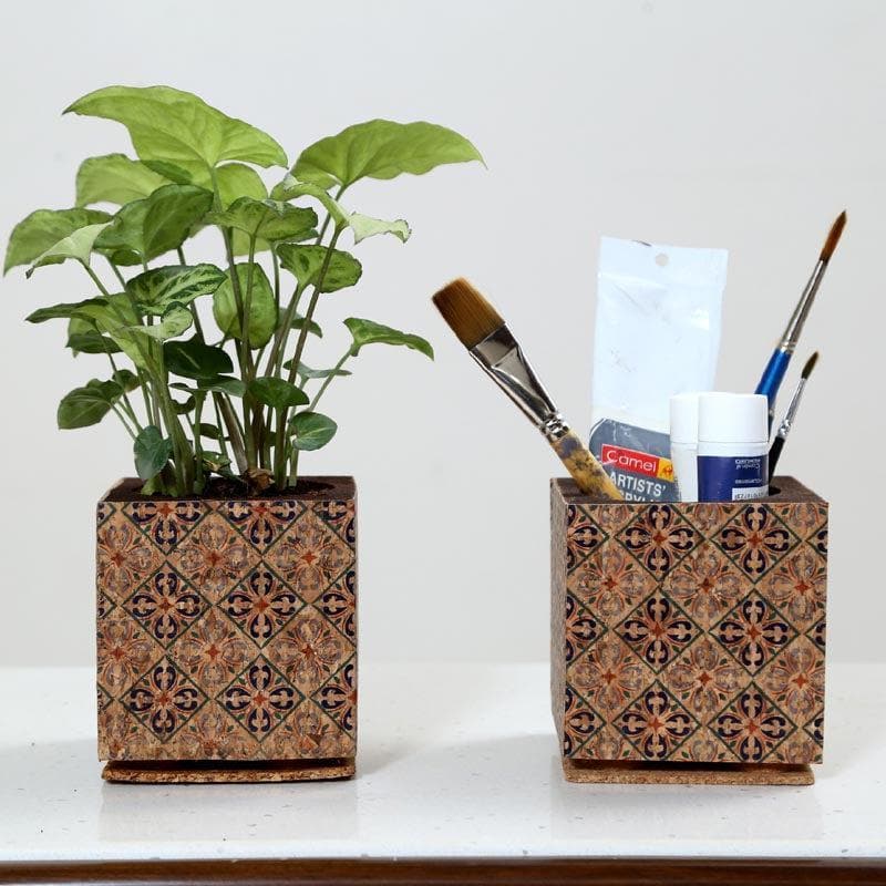 Buy Wooden Cork Dreamy Planter Pots & Planters from Vaaree