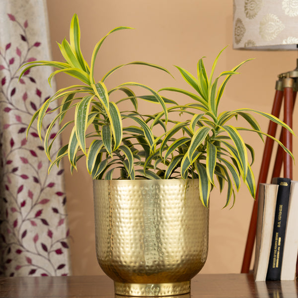 Buy Edo Hammered Golden Planter - Gold Pots & Planters from Vaaree