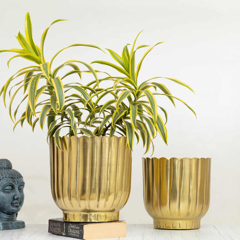 Buy Cosie Coral Planter (Gold) - Set Of Two Pots & Planters from Vaaree