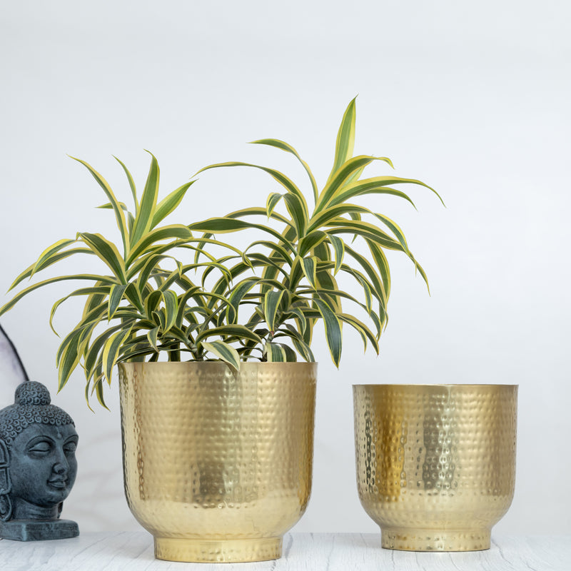 Buy Edo Hammered Golden Planter (Gold) - Set Of Two Pots & Planters from Vaaree