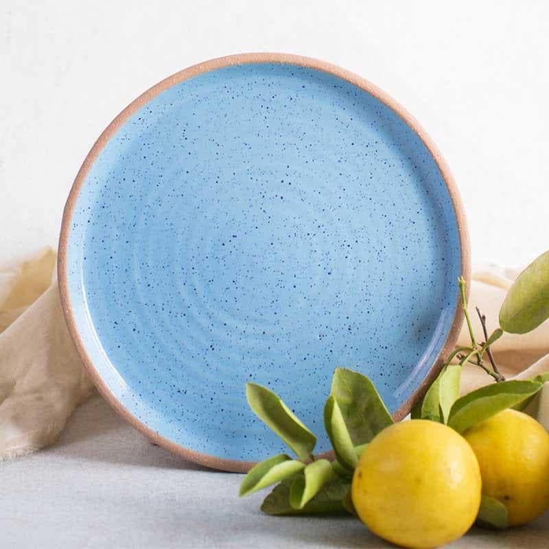 Buy Ocean Refinement Quarter Plates - Set Of Two Quarter Plate from Vaaree