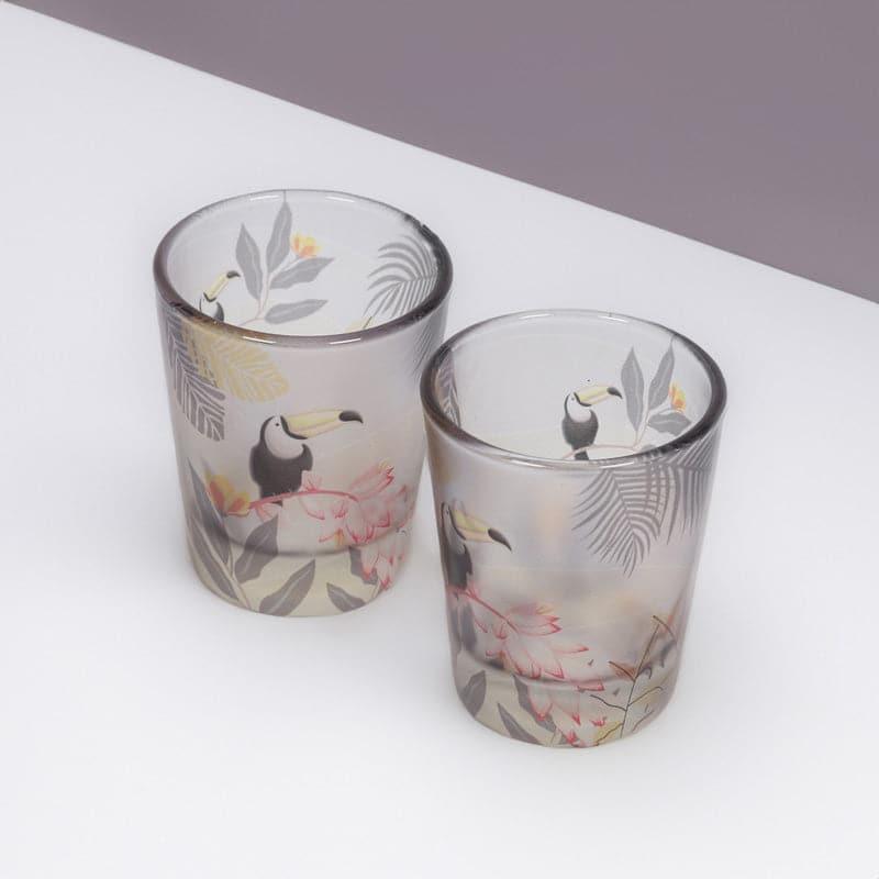 Shot Glass - Aracari Frosted Shot Glass (30 ML) - Set Of Two