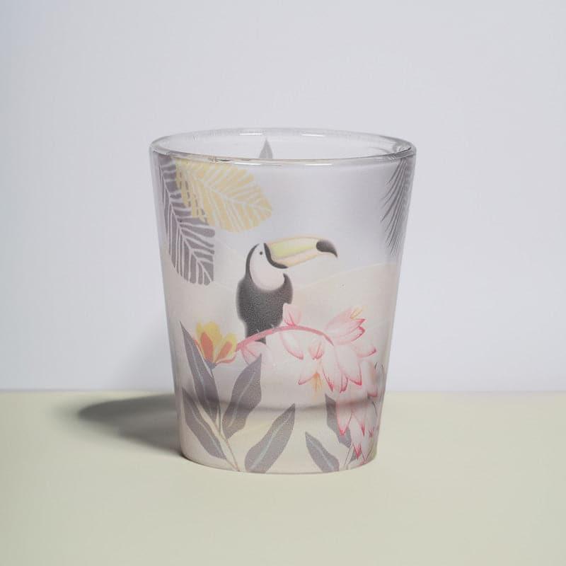 Shot Glass - Aracari Frosted Shot Glass (30 ML) - Set Of Two