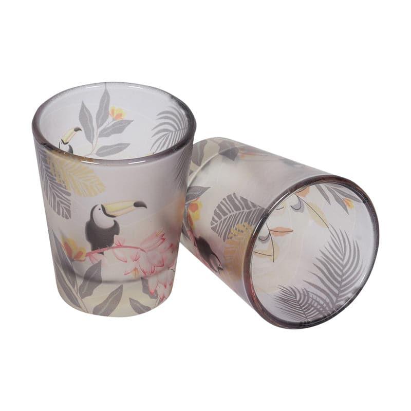 Shot Glass - Aracari Frosted Shot Glass (30 ML) - Set Of Two