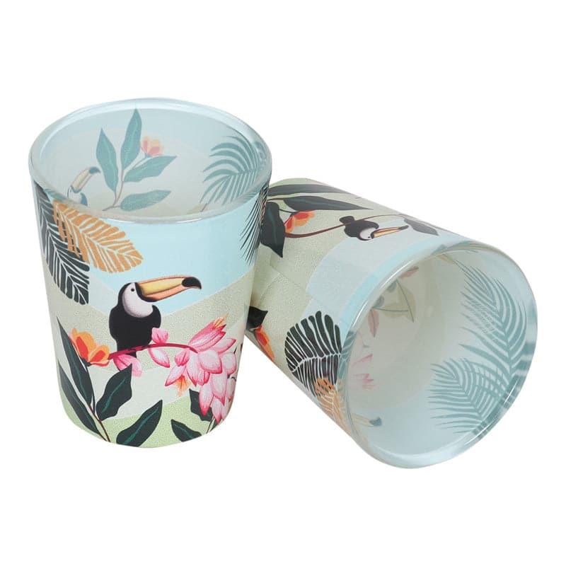 Shot Glass - Aracari Shot Glass (30 ML) - Set Of Two