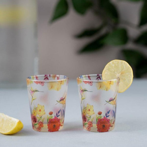 Shot Glass - Humming Bliss Frosted Shot Glass (30 ml) - Set Of Four