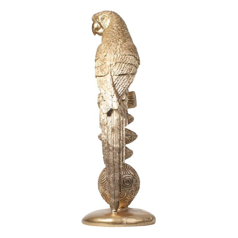 Buy Parrot Plumage Showpiece Showpieces from Vaaree