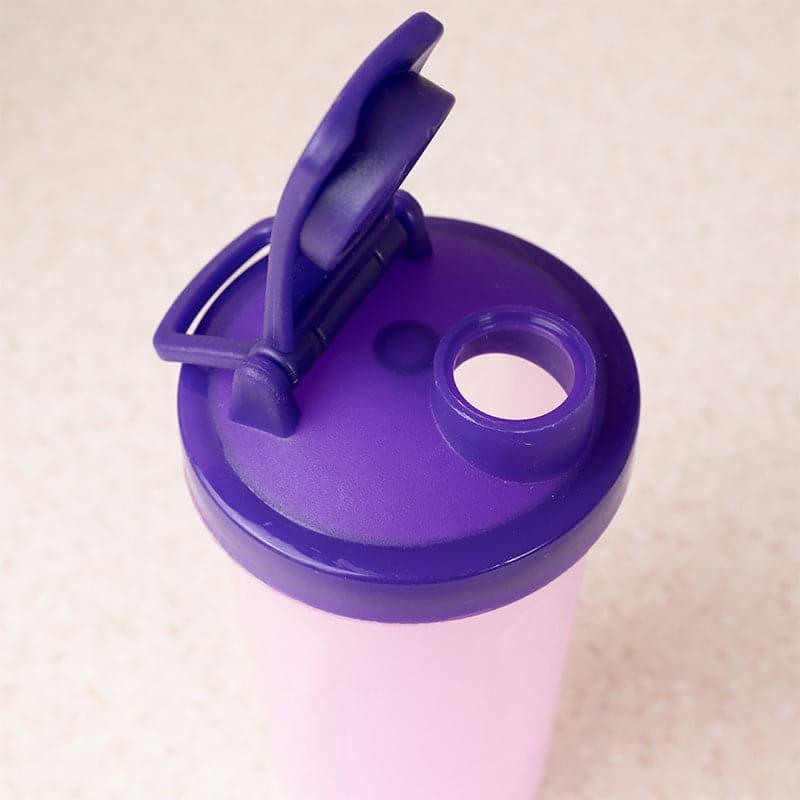 Buy Boschin Sipper (400 ML) - Mauve Sipper from Vaaree