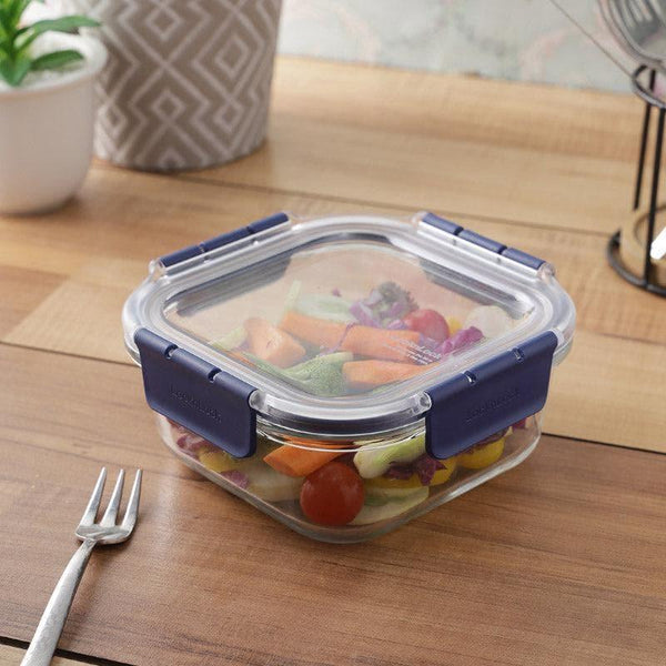 Buy Fresh Munch Lunch Box - 750 ML Tiffin Box & Storage Box from Vaaree