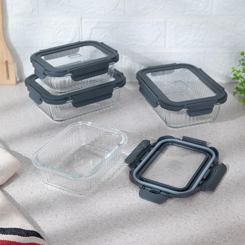 Buy Giva Glass Lunch Box (640 ML /1040 ML)- Set Of Four Tiffin Box & Storage Box from Vaaree