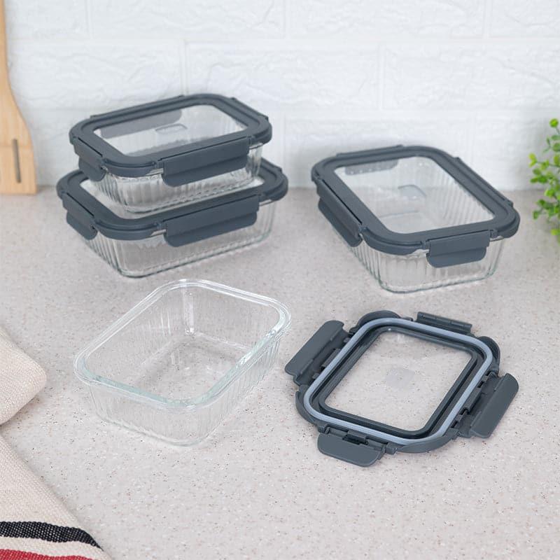 Buy Giva Glass Lunch Box (640 ML /1040 ML)- Set Of Four Tiffin Box & Storage Box from Vaaree