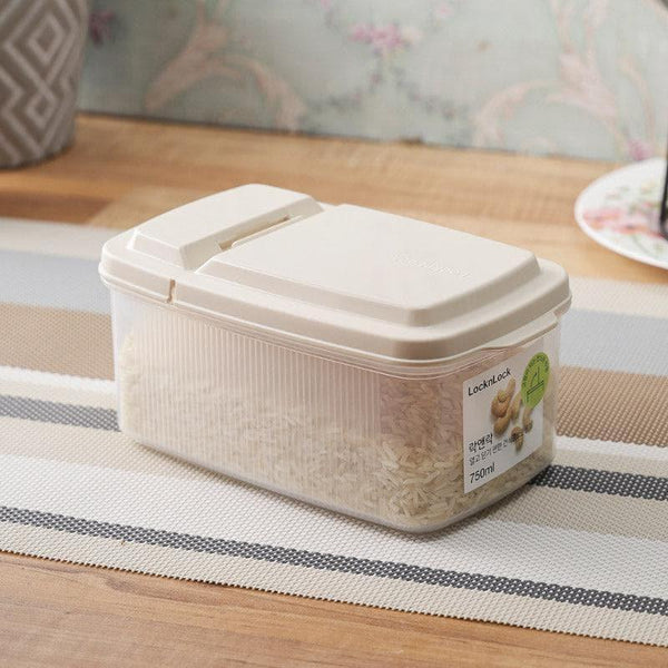 Tiffin Box & Storage Box - Portable Palate Lunch Box (750 ML) - Set Of Three