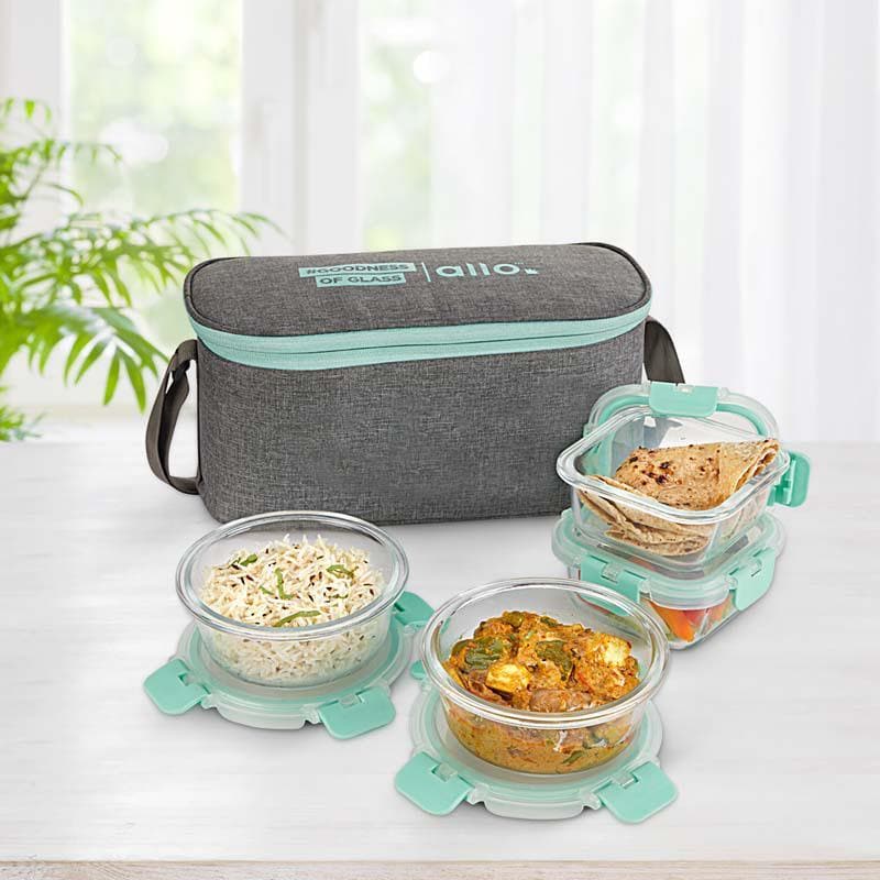 Buy Jonas Lunchbox With Grey Bag (310 & 390 ML) - Set Of Four Tiffin Box from Vaaree