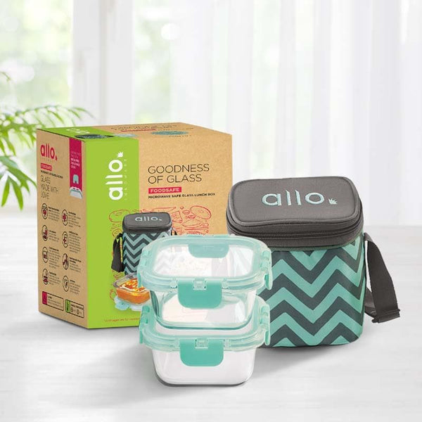 Tiffin Box - Jonas Lunchbox With Square Chevron Bag (310 ML) - Set Of Two