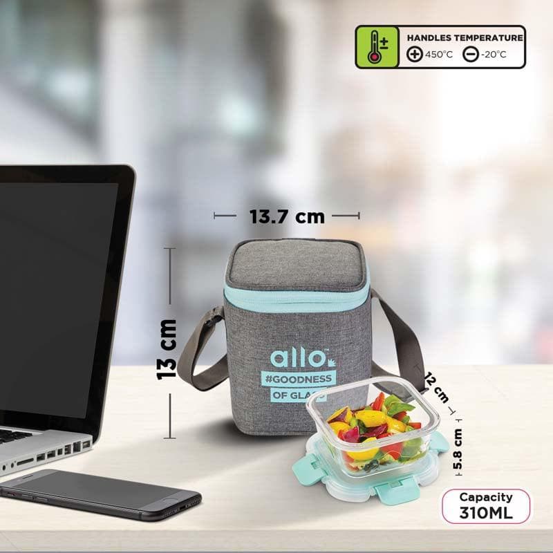 Buy Jonas Lunchbox With Square Grey Bag (310 ML) - Set Of Two Tiffin Box from Vaaree