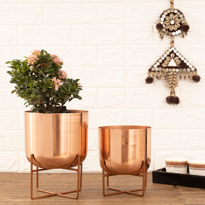 Buy Zeren Olive Planter (Rose Gold) - Set Of Two Pots & Planters from Vaaree