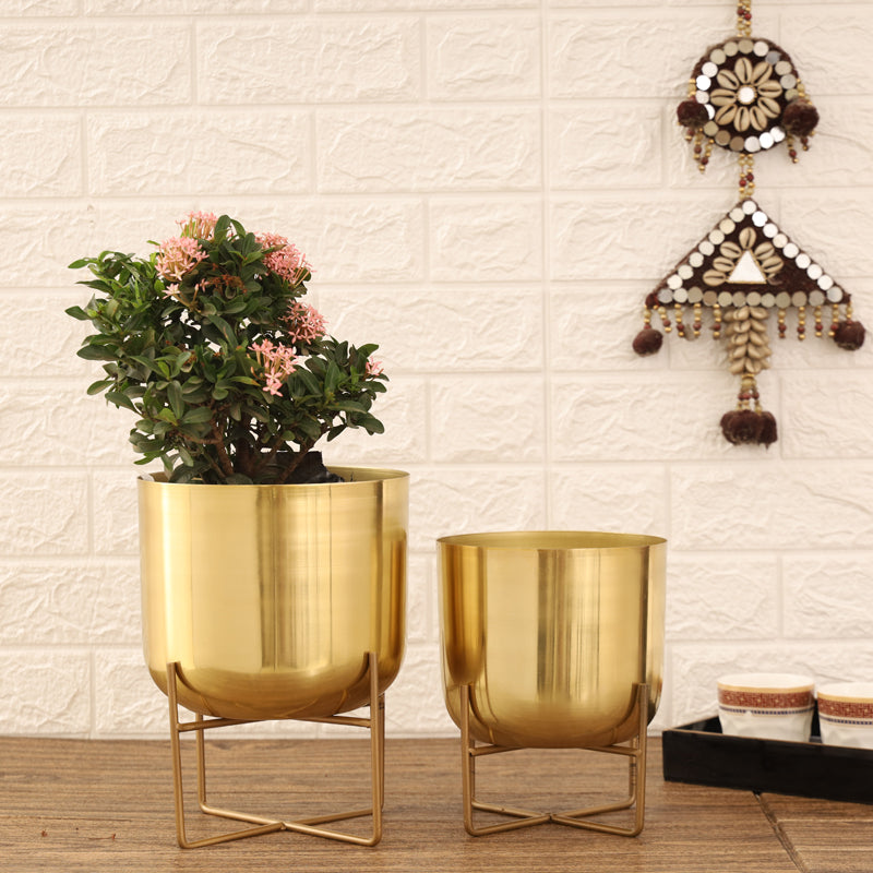 Buy Zeren Olive Planter (Gold) - Set Of Two Pots & Planters from Vaaree