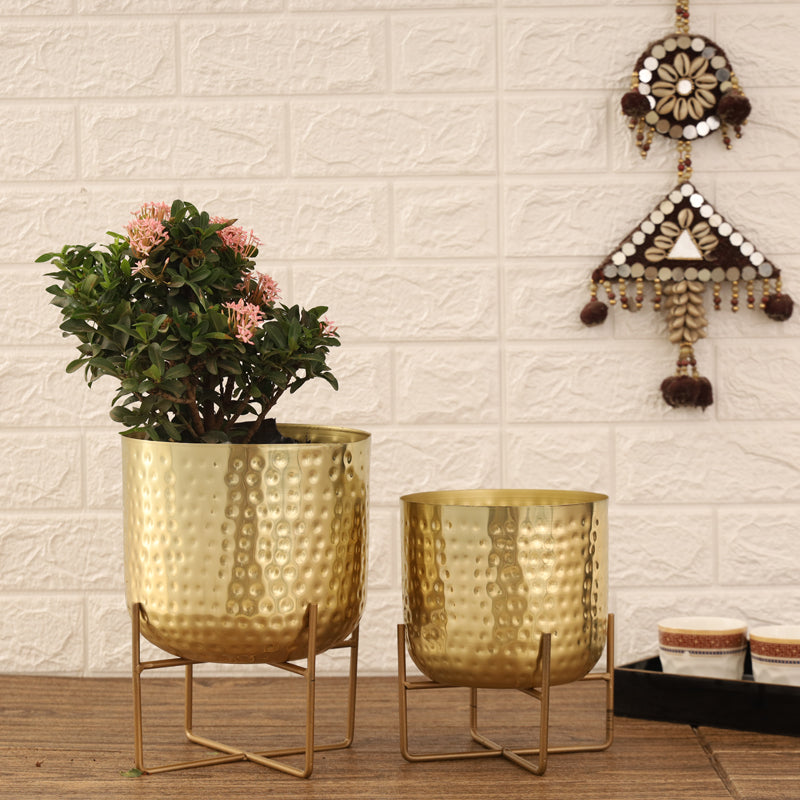 Buy Zeren Olive Hammered Planter (Gold) - Set Of Two Pots & Planters from Vaaree