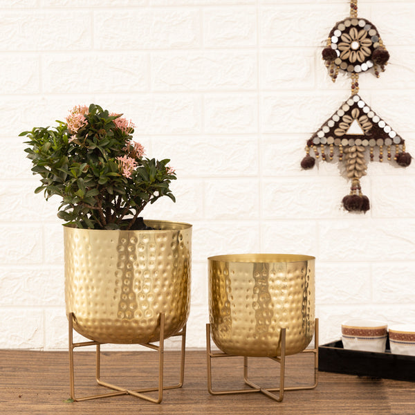 Buy Zeren Olive Hammered Planter (Gold) - Set Of Two Pots & Planters from Vaaree