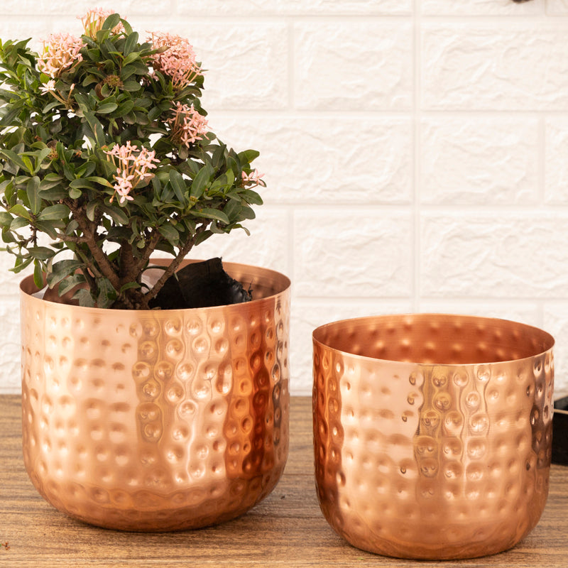 Buy Luxe Glow Hammered Planter (Rose Gold) - Set Of Two Pots & Planters from Vaaree