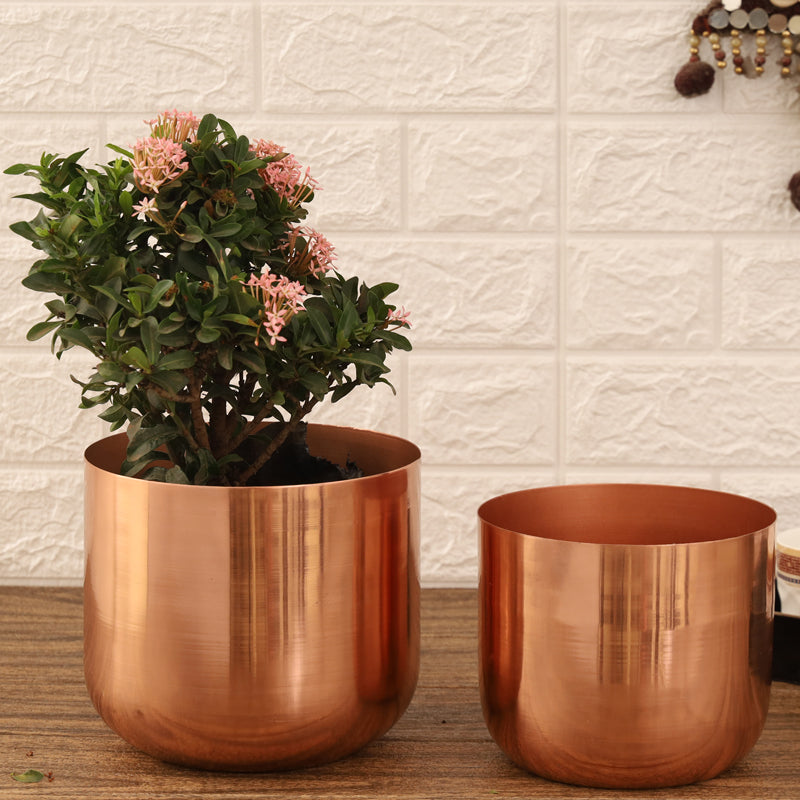 Buy Luxe Glow Planter (Rose Gold) - Set Of Two Pots & Planters from Vaaree