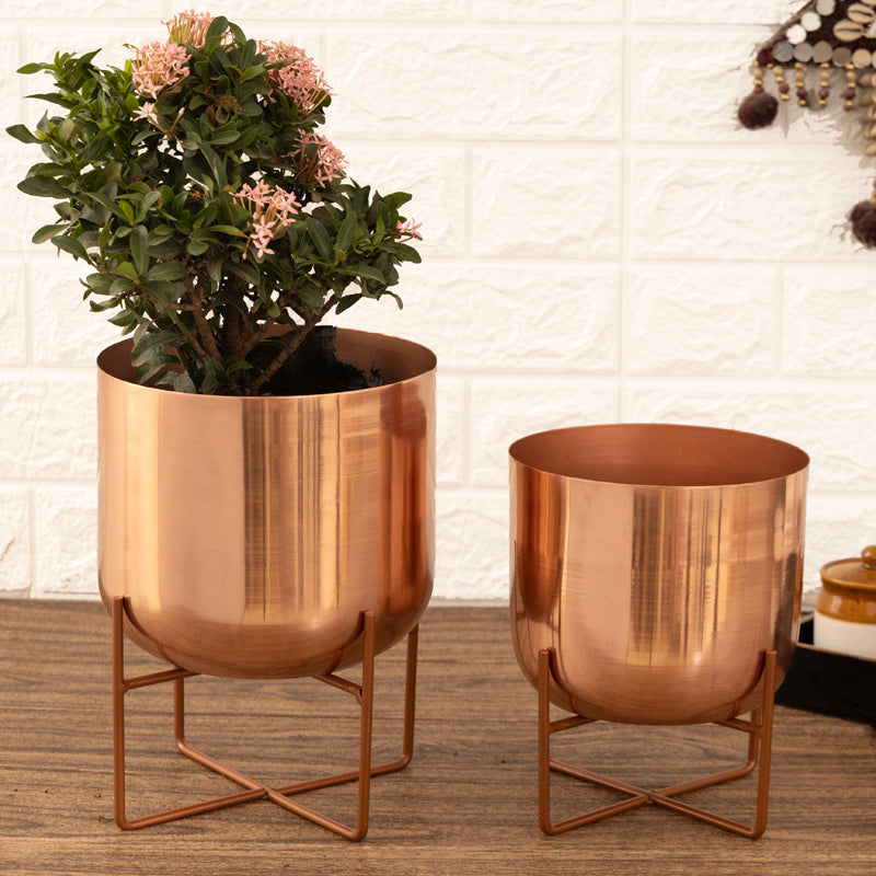 Buy Zeren Olive Planter (Rose Gold) - Set Of Two Pots & Planters from Vaaree