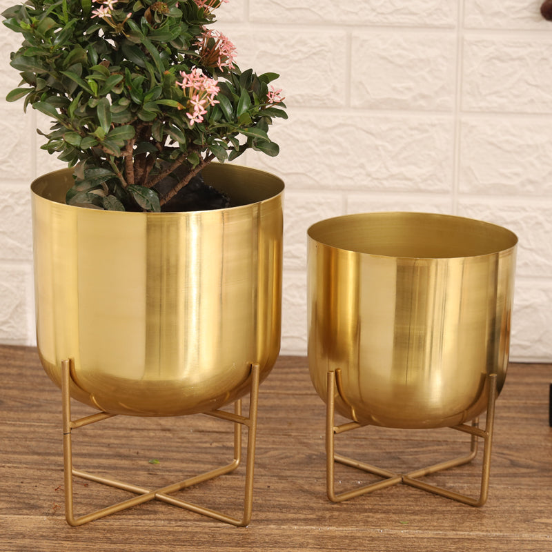 Buy Zeren Olive Planter (Gold) - Set Of Two Pots & Planters from Vaaree