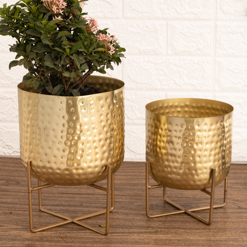 Buy Zeren Olive Hammered Planter (Gold) - Set Of Two Pots & Planters from Vaaree