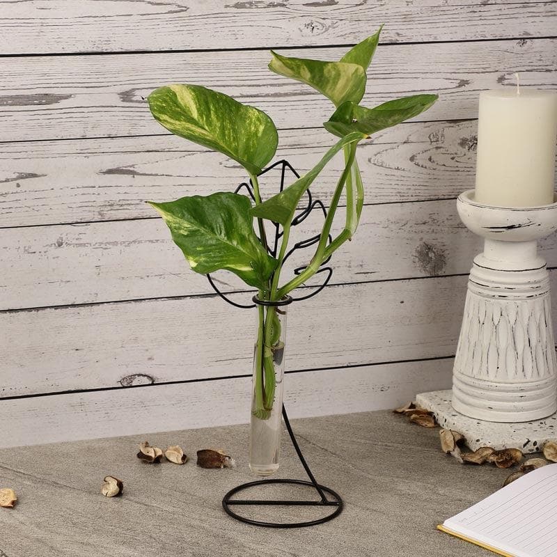 Buy Aspen Testube Planter Vase from Vaaree