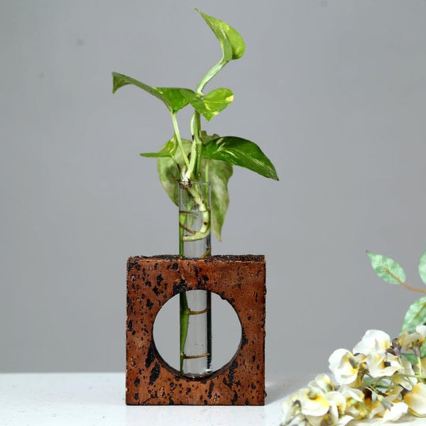 Vase - Ember Cork Testube Planter