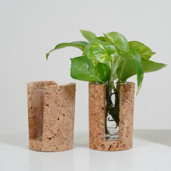 Buy Hitcho Cork Testube Planter Vase from Vaaree