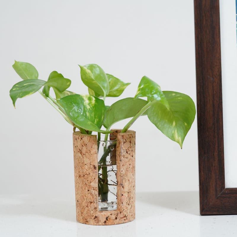 Buy Hitcho Cork Testube Planter Vase from Vaaree