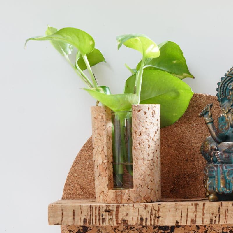 Buy Hitcho Cork Testube Planter Vase from Vaaree