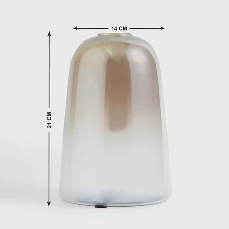 Buy Marillo Glass Dome Vase - Big Vase from Vaaree