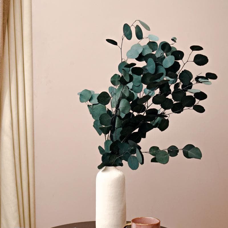 Vase - Mesora Vase With Million Dollar Eucalyptus Bunch