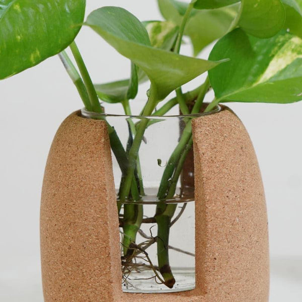 Buy Nadae Cork Testube Planter Vase from Vaaree