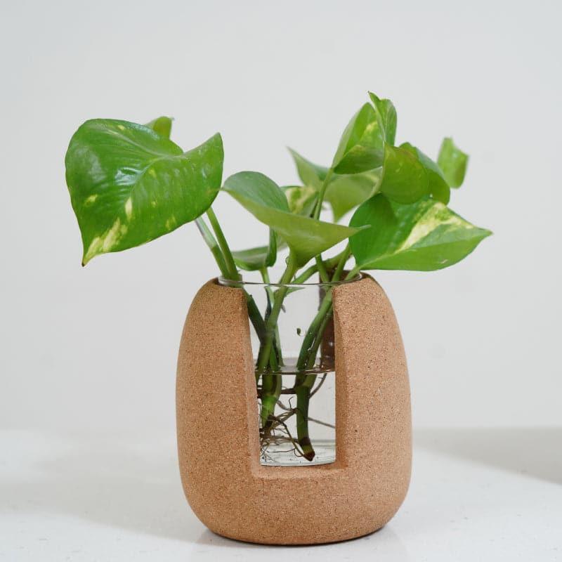 Buy Nadae Cork Testube Planter Vase from Vaaree