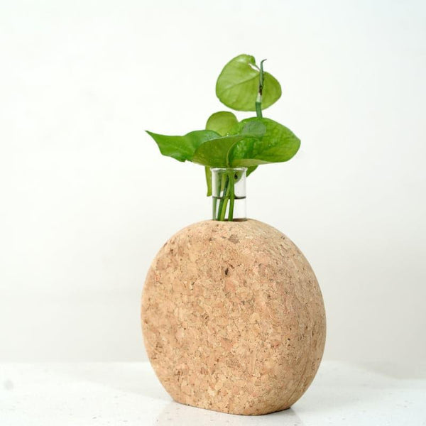 Vase - Sona Cork Testube Planter