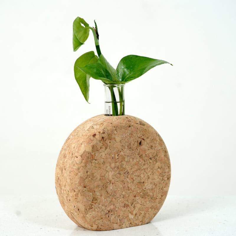 Buy Sona Cork Testube Planter Vase from Vaaree