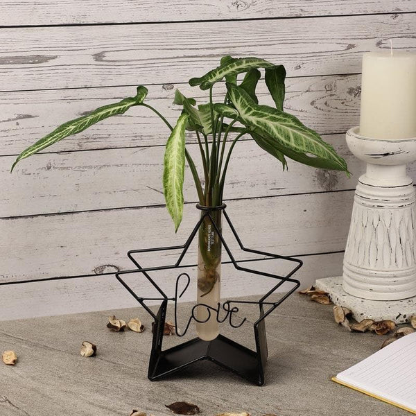 Vase - Starz Love Testube Planter