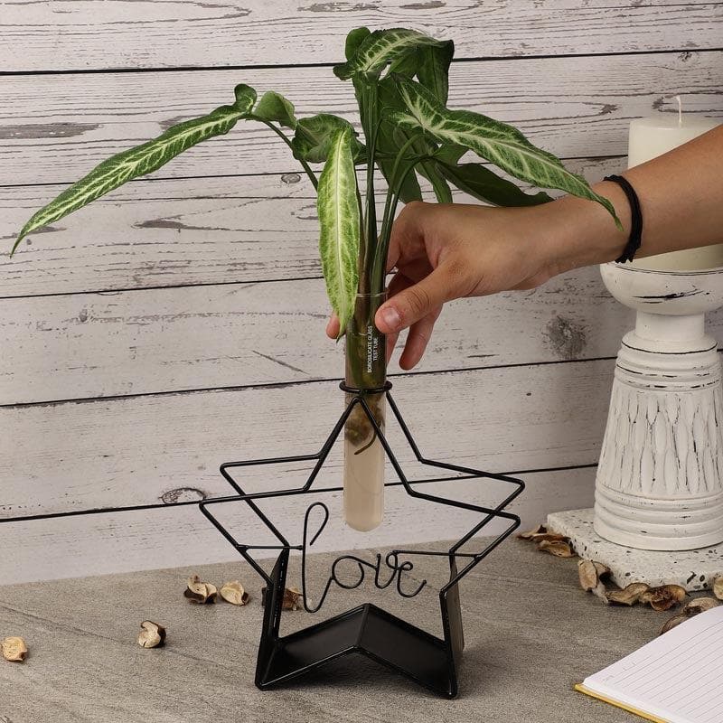 Buy Starz Love Testube Planter Vase from Vaaree