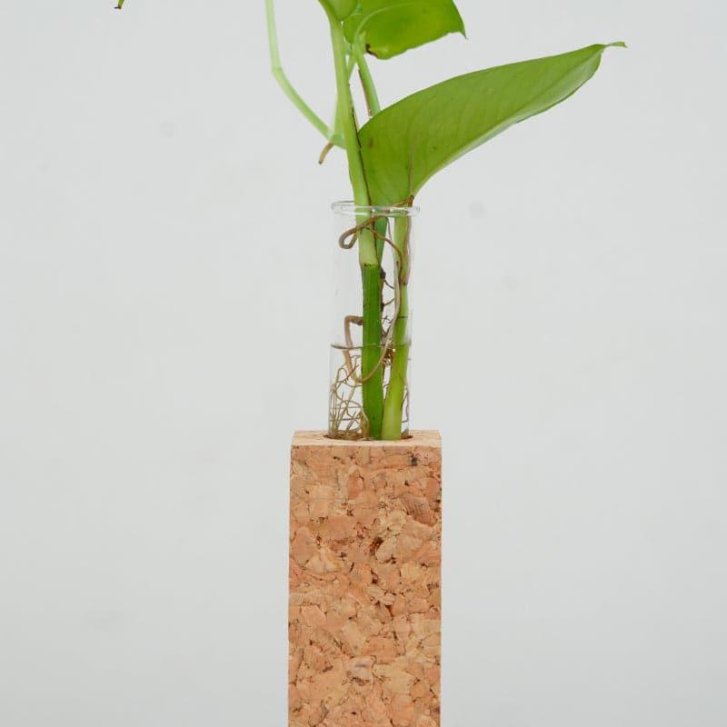 Buy Urva Cork Testube Planter Vase from Vaaree