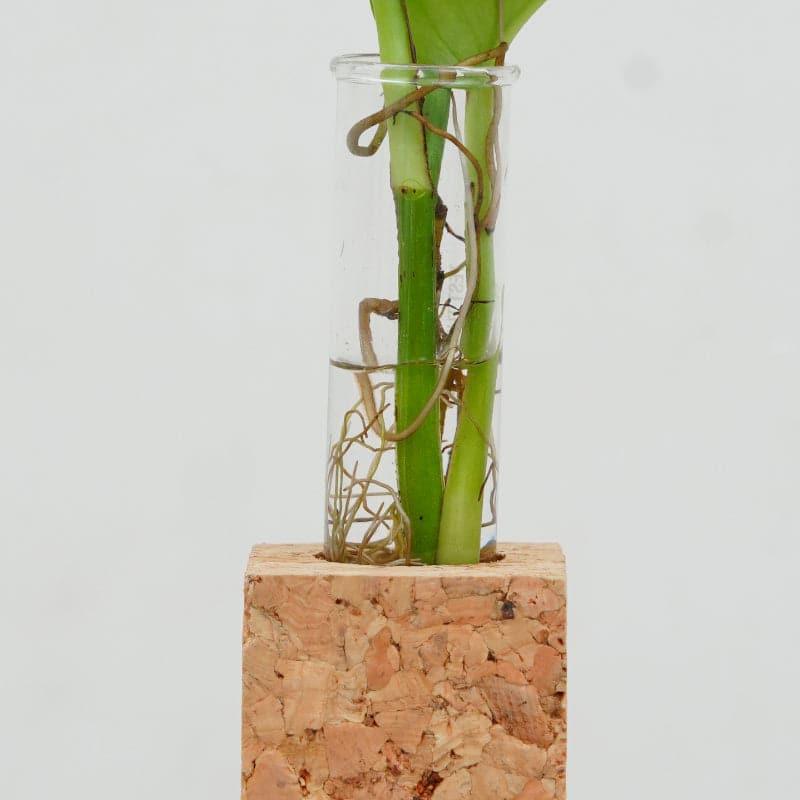 Buy Urva Cork Testube Planter Vase from Vaaree