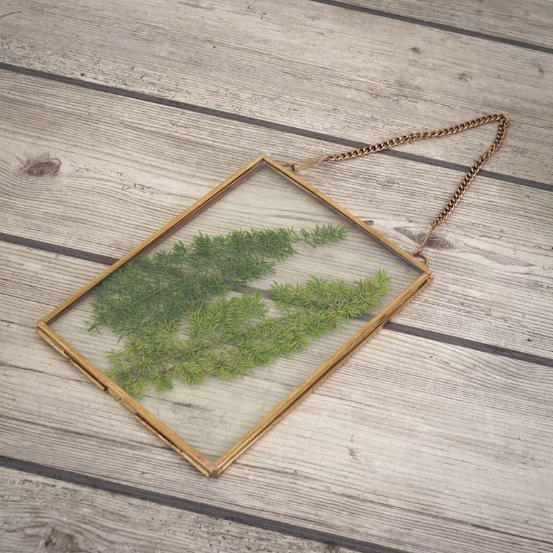 Wall Accents - Moraceae Leaf Wall Hanging